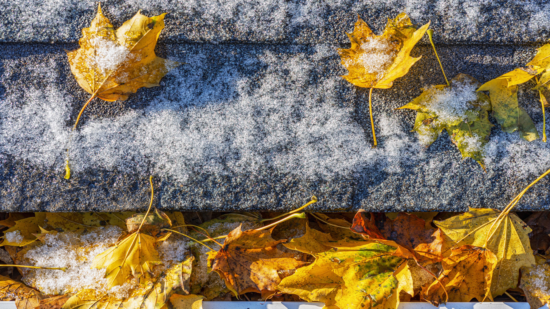 Fall Roof Care in Central Oregon